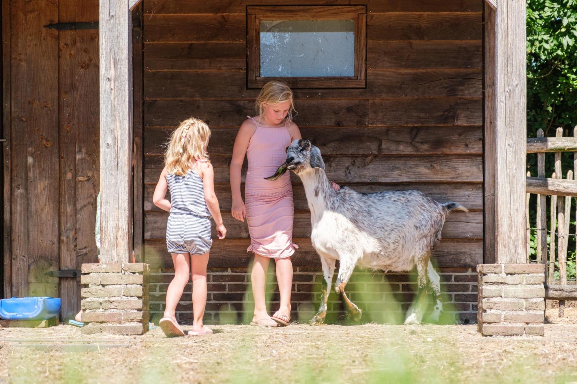 Camping de Pallegarste - voor uw vakantiebestemming! Marienberg Buitenkant foto